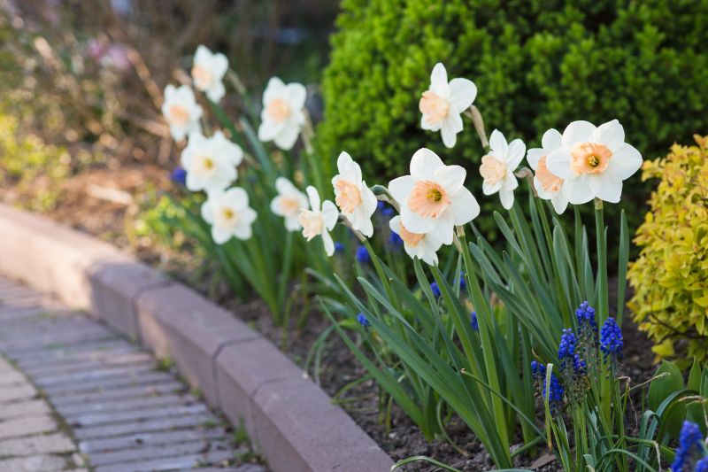 Paver Edging and Borders