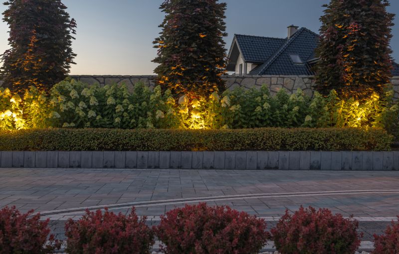 Pavers with Lighting