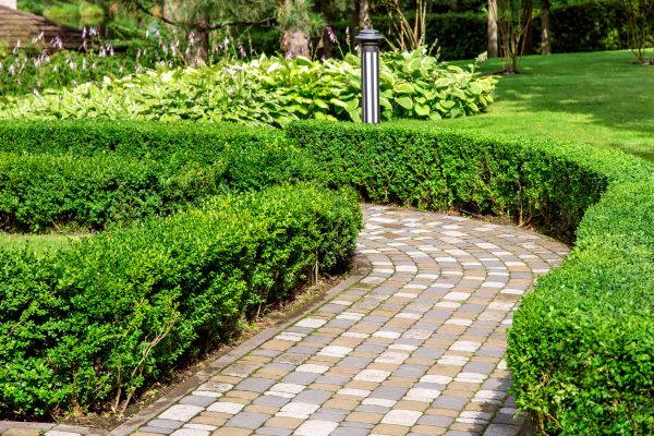 Cost of Paved Landscaping in Cave Creek