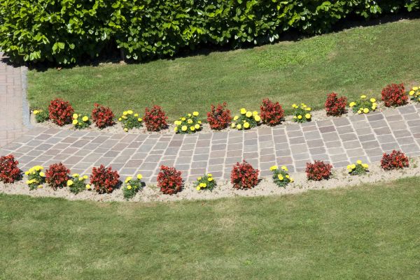 Garden Paving in Cave Creek