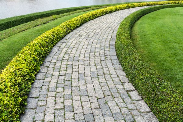 Sidewalk Pavers Installation in Cave Creek